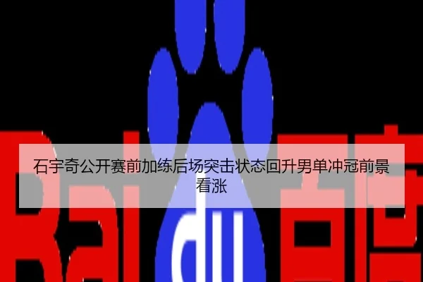 石宇奇公开赛前加练后场突击状态回升男单冲冠前景看涨